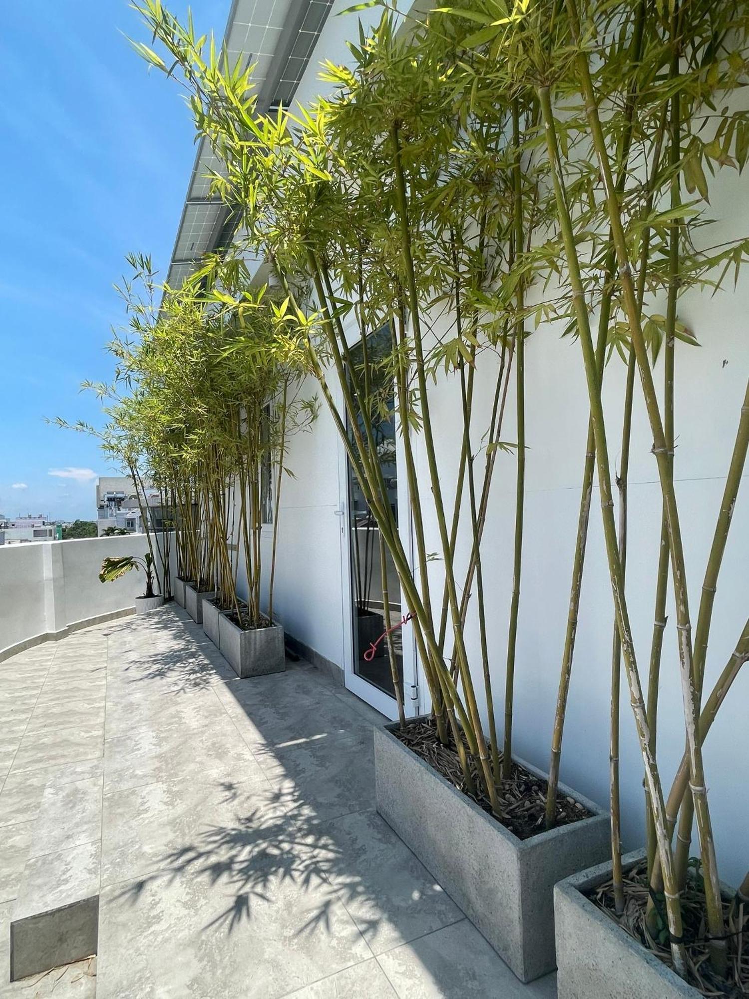 The Ck Hotel Châu Đốc Eksteriør billede